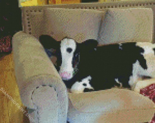 Cow On A Couch Diamond Paintings