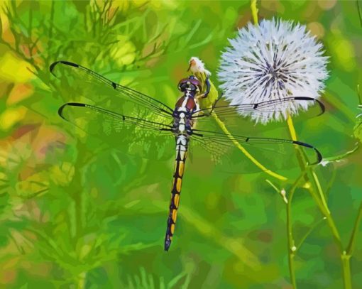 Cute Dragonfly And Dandelion Diamond Paintings