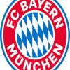 Fc Bayern Logo Diamond Paintings