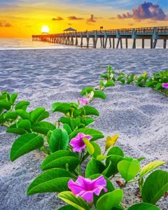 Flowers On Beach Diamond Paintings