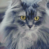 Fluffy Grey Cat Diamond Paintings