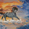 Grey Horse In Water Diamond Paintings