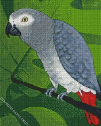 Grey Parrot Diamond Paintings