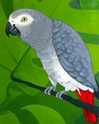 Grey Parrot Diamond Paintings