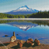 Oregon Mountains Lake Diamond Paintings