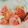 Peach Roses Bouquet Diamond Paintings