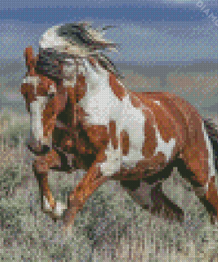 Piccaso Horse Running Diamond Painting