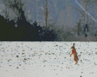 Rabbit Dancing In Snow Diamond Paintings