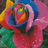Rainbow Flower Diamond Paintings