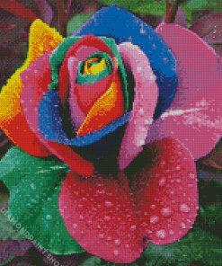 Rainbow Flower Diamond Paintings