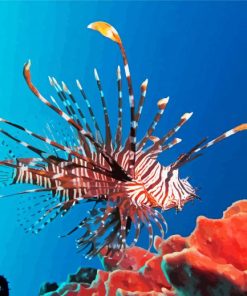 Red Lionfish Diamond Paintings