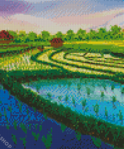 Rice Field Diamond Paintings