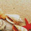 Sand And Seashells Art Diamond Paintings