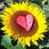 Sunflower Heart love Art Diamond Paintings