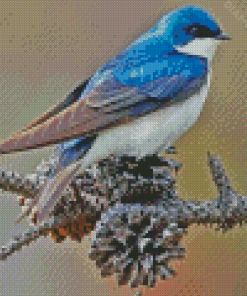 Swallow Bird Diamond Paintings