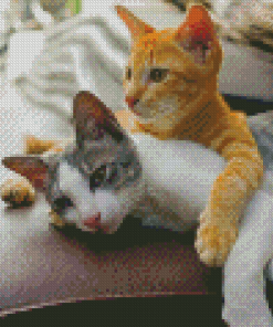 Two Kitties Diamond Paintings