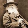 Walt Whitman Diamond Paintings