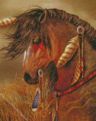 Aesthetic War Pony Diamond Paintings