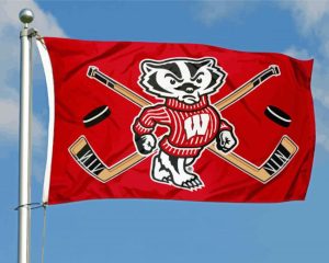 Wisconsin Badgers Flag Diamond Paintings