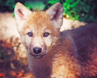 Wolf Cub Animal Diamond Paintings