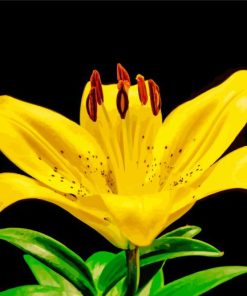 Yellow Lily Flower Diamond Paintings