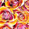 Yellow And Pink Roses Diamond Paintings