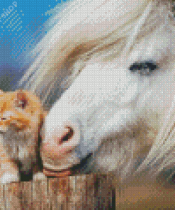 Cat And Horse Diamond Paintings