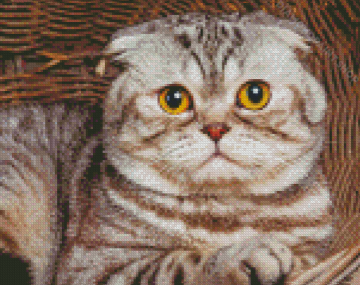 Cute Fold Ear Cat Diamond Paintings
