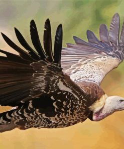 Flying Vulture Diamond Paintings