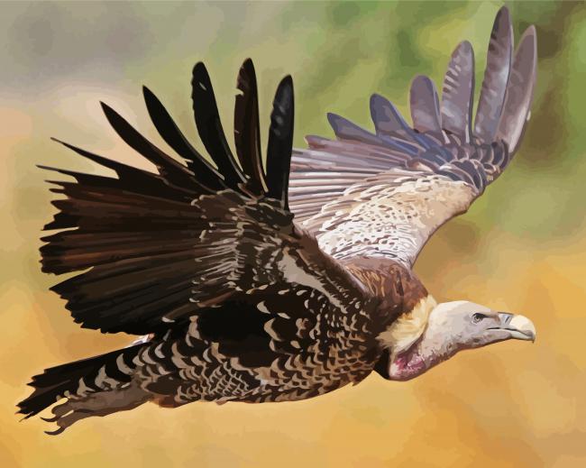 Flying Vulture Diamond Paintings