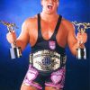 Owen Hart Wrestler Diamond Paintings