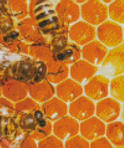 Honeycomb And Bees Diamond Paintings