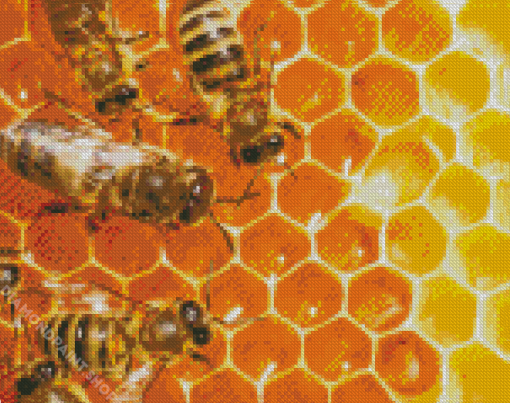 Honeycomb And Bees Diamond Paintings