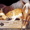 Adorable Cat And Horse Diamond Paintings