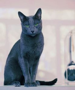 Russian Grey Cat Diamond Paintings