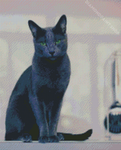 Russian Grey Cat Diamond Paintings