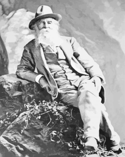 Monochrome Walt Whitman Diamond Paintings