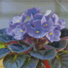 Blue African Violets Diamond Paintings