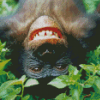 Happy Bonobo Monkey Diamond Paintings