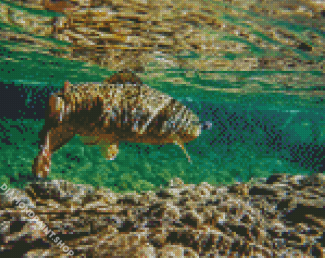 Broun Trout Underwater Diamond Paintings