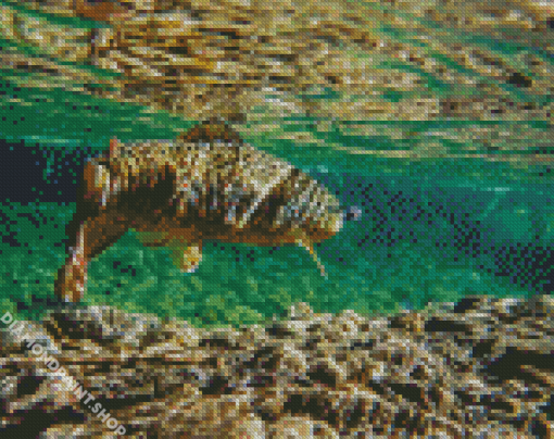 Broun Trout Underwater Diamond Paintings