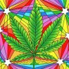 Colorful Marijuana Diamond Paintings
