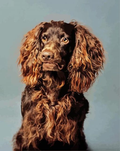 Boykin Spaniel Puppy Diamond Paintings