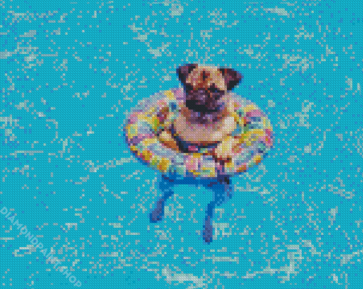 Cute Dog In Pool Diamond Paintings