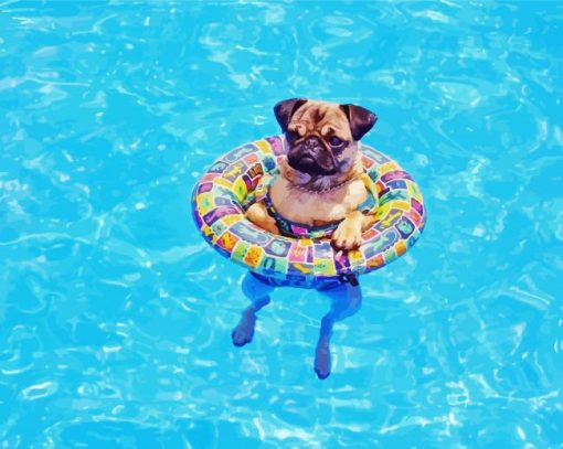 Cute Dog In Pool Diamond Paintings