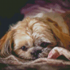 Cute Shihpoo Dog Diamond Paintings