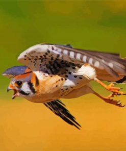 Flying Kestrel Bird Diamond Paintings