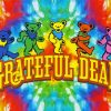 Grateful Dead Bears Diamond Paintings