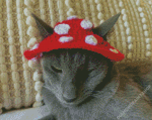 Grey Cat With Hat Diamond Paintings