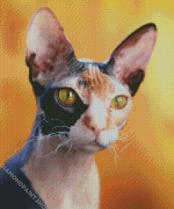 Hairless Kitty Diamond Paintings